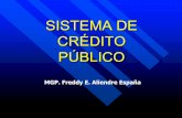 SISTEMA DE CRÉDITO PÚBLICO · Sistema de Nacional de Inversión Pública Sistema de Adm Bienes y Servicios Sistema de Presupuesto Sistema de Crédito Público Sistema de Contabilidad