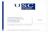 Orzamento da Universidade de Santiago de 2019 Compostela€¦ · RAM Reparación, ampliación e mellora RIAIDT Rede de Infraestruturas de Apoio á Investigación e ao Desenvolvemento