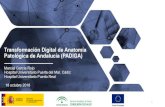 Transformación Digital de Anatomía Patológica de Andalucía ... · ü 200.000 patología quirúrgica. ü 80.000 citologías. ü 5.000 autopsias. 400.000 biopsias/ año y 400.000