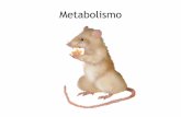 Metabolismo - unq.edu.arcronos.unq.edu.ar/fisgen/metabolismo 2014.pdf · Metabolismo hepático Regulación hormonal Grasas Ésteres de AG con glicerol Lipólisis / Lipogénesis Transporte