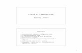 Tema 1: Introduccióntrajano.us.es/~antonio/FdeT/Tema1.pdf · 4 Java Community Process • Desde Mayo 2007, de acuerdo con las especificaciones del Java Community Process, Sun pone