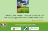 Desafío del Cambio Climático y Adaptación del Sector ...redkatalysis.org/v3/wp-content/uploads/2014/11/BRAULIO-SERNA.pdf · calentamiento global (la dirección de las Fuente: IPCC
