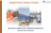 BENEFICIOS PARA PYMESenernews.com/.../caem-financiamiento-para-la-mineria-argentina_25… · 9 Monto: Hasta el 70% de la inversión. Monto máximo: $ 1.550.000.- (excepcionalmente