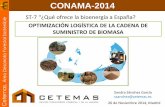Presentación de PowerPoint - Conama 2014/19… · Árbol completo 1. Cálculo de biomasa potencial para cada rodal: Ecuaciones de biomasa (t/ha) según sea corta final, clara o clareo.