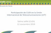 Participación de CUDI en la Unión Internacional de ... · Internacional de Telecomunicaciones (UIT) Salma Jalife (CUDI) 12 noviembre 2010 CUDI 2010 Reunión de Otoño. Configuración