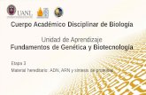 Cuerpo Académico Disciplinar de Biología€¦ · Cuerpo Académico Disciplinar de Biología Unidad de Aprendizaje Fundamentos de Genética y Biotecnología Etapa 3 Material hereditario:
