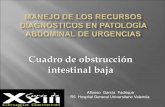 Cuadro de obstrucción intestinal bajasociedadvalencianadecirugia.com/wp-content/uploads/2017/03/mma… · oclusión intestinal baja (grado de evidencia III) Los estudios con contraste
