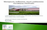 Instituto de Productos Lácteos de Asturias IPLA-CSICdigital.csic.es/bitstream/10261/108771/3/menopausia_isoflavonas... · - El nivel de equol en orina varía mucho entre mujeres,