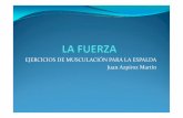 EJERCICIOS DE MUSCULACIÓN PARA LA ESPALDA Juan Azpíroz …iesateca.educa.aragon.es/.../apuntes-1ev/4ESO-LaFuerzaEspalda.pdf · EJERCICIOS DE MUSCULACIÓN PARA LA ESPALDA Juan Azpíroz