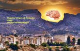 Hospital Virgen de los Lirios Alcoy Unidad de Neurologíaalcoy.san.gva.es/cas/hospital/sesclin/Somatopsique.pdf · Entidades que simulan trastornos psicosomáticos • Trastorno de