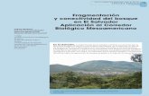 Fragmentación y conectividad del bosque en El Salvador ... · conectividad, y evaluar el impacto de algunos escenarios de cambios en el paisaje sobre la conectividad. El Corredor