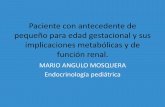 BAJO PAESO PARA EDAD GESTACIONAL Y SUS EFECTOS ... · pequeño para edad gestacional y sus implicaciones metabólicas y de función renal. MARIO ANGULO MOSQUERA Endocrinología pediátrica