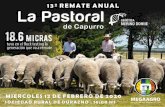 BIENVENIDOS A NUESTRO 13 REMATE ANUAL 2020 Capurro_0.pdf · La Pastoral de Capurro les da la bienvenida y les agradece su presencia e in-terés en nuestro decimo tercer remate de