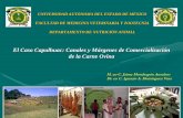 El Caso Capulhuac: Canales y Márgenes de Comercialización ...spo.uno.org.mx/wp-content/uploads/2011/07/5_caso_capulhuac.pdf · comercialización (canales de comercialización).