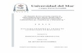 Universidad del Mar - bibliotecape.umar.mxbibliotecape.umar.mx/CatalogoUmarPE/TesisUmar/Biología/2012/T6… · sp. En la prueba realizada en líquido se determinó una concentración