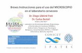 Breves Instrucciones para el uso del MICROSCOPIO en el ... · Breves Instrucciones para el uso del MICROSCOPIO en el laboratorio cervecero Dr. Diego Libkind Frati Dr. Carlos Bertoli