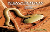 NEMATODOS - repositorio.espe.edu.ecrepositorio.espe.edu.ec/bitstream/21000/10174/3/Nemátodos... · Nematodos2011,pdf). Consultado el 24/06/2014. El ataque de los nematodos fitopatógenos