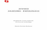 ATENEO ANATOMO - PATOLÓGICOcardiolatina.com/wp-content/uploads/2019/05/ateneo-04-07.pdf · Angor y disnea de reposo. ENFERMEDAD ACTUAL: Paciente re2iere comenzar con angor característico