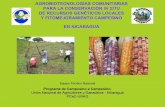 €¦ · Participación en 20 Informe Nacional de Recursos Fitogenéticos (FAO, 2008). Ampliado a 35000 familias participantes. Organizado: Encuentro Centroamericano de Semillas.