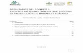 RESULTADOS DEL SONDEO I: EVENTOS METEOROLÓGICOS …banana-networks.org/musalac/files/2016/02/resulta...número de cosechas) y el riego para asegurar las necesidades de la planta para