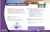 HERBO HÍGADO - CARDI DIGESTIVO... · 2013-04-04 · Formula de extraordinarias plantas medicinales con propiedades hepato-protectoras y regenerativas del hígado. Eficiente auxiliar