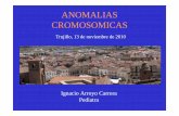 ANOMALIAS CROMOSOMICAS - ANCLEX · 2014-06-23 · ANOMALIAS CROMOSOMICAS Uno de los grupos en que se clasifican las anomalías genéticas congénitas: • cromosómicas • monogénicas