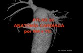 ATLAS de ANATOMÍA CARDÍACA por RM e TC · da vea cardíaca magna da que se separa pola válvula de Vieussens (coronaria maior). Desemboca na AD por un orificio ca válvula de Tebesio.