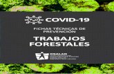 FICHAS TÉCNICAS DE PREVENCIÓN TRABAJOS FORESTALES · 2020-04-24 · Fichas técnicas de prevención del Covid-19. Trabajos forestales Página 2 de 5 FECHA 04.04.2020 Medidas especificas