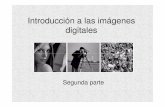 Introducción a las imágenes digitalesgrupo.us.es/gtocoma/pid/tema1-2.pdf · Las imágenes digitales a color están gobernadas por los mismos conceptos de muestreo, cuantificación