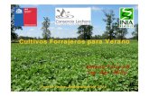 Cultivos Forrajeros para Verano - Consorcio Lechero · 2011-09-30 · Puerto Varas, Septiembre de 2011 Cultivos Forrajeros para Verano. Curva de crecimiento de pradera permanente