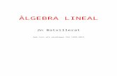Àlgebra lineal - Toomates · Web viewÀLGEBRA LINEAL 2n Batxillerat Amb tots els problemes PAU 1998-2019 Gerard Romo Garrido Toomates Coolección Los documentos de Toomates son materiales