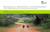 Bosques y derechos comunitarios · 7 Las regulaciones como barreras a los beneficios comunitarios en las reformas de tenencia 145 Juan M. Pulhin, Anne M. Larson y Pablo Pacheco ...