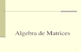 Algebra de Matrices - WordPress.com2 Definición Una matriz es un arreglo rectangular de valores llamados elementos, organizados por filas y columnas. Ejemplo: 1 Notas: 1. Las matrices