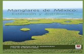 Manglares de Méxicoen manglares de distintas instituciones académicas del país participa ron en los recorridos en helicóptero por las costas de México donde se distribuye el manglar.