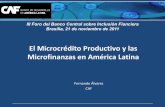 El Microcrédito Productivo y las Microfinanzas en América Latina · 2012-01-30 · en América Latina y sur de Asia (2003-2009) (porcentaje) ... sobre los factores claves del desarrollo
