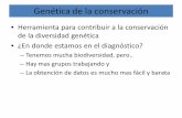 Genética de la conservaciónvinuesa/tlem/docs/TLEM_Genetica... · 2010-10-22 · Genética de la conservación • Herramienta para contribuir a la conservación de la diversidad