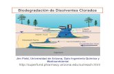 Biodegradación de Disolventes Clorados · 2009-09-21 · Producción Natural de Disolventes Clorados Produccion natural de organohalogenados Mas de 3800 compuestos organohalogenados