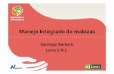 Manejo Integrado de malezas · Manejo Integrado de malezas Santiago Barberis Lares S.R.L. Maleza • Ventajas con respecto a las otras plagas • Diferencias de control con insectos