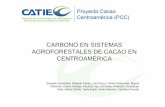 CARBONO EN SISTEMAS AGROFORESTALES DE CACAO …infocafes.com/portal/wp-content/uploads/2017/01/A7604e.pdf · 2017-02-10 · CARBONO EN SISTEMAS AGROFORESTALES DE CACAO ENAGROFORESTALES
