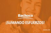 Presentación de PowerPoint - ARHVER2019/12/02  · Bachoco–Atracción de Talento ¿Quiénes somos? 1 2 4 3 LÍDER DE LA INDUSTRIA AVÍCOLA En México y uno de los diez productores