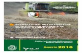 INFORMACIÓN TÉCNICA - AgroCabildo - Agricultura y desarrollo rural en … · 2017-05-26 · En campañas anteriores ha tenido lugar un aumento progresivo de la superficie de siembra