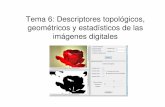 Tema 6: Descriptores topológicos, geométricos y estadísticos de …grupo.us.es/gtocoma/pid/tema6.pdf · 2009-11-10 · Transformada de la distancia: Cálculo del esqueleto de una