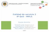 Calidad de servicio 2 IP QoS - MPLS · Calidad de servicio 2 IP QoS - MPLS - 2019 - Laboratorio de REDES Recuperación de Información y Estudios de la Web Administración y Gestión