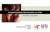 Comportamiento del femicidio en Chile - El Ciudadano · 4. La ley de violencia intrafamiliar, si bien fue un buen esfuerzo en su momento, requiere ser actualizada con el objeto de