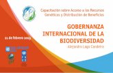 GOBERNANZA INTERNACIONAL DE LA€¦ · Biodiversidad: Financiación de más de 360 proyectos, inversión directa US$ 1.890 millones, indirecta US$ 3.800 millones Cualquier individuo