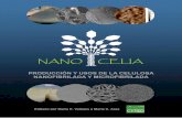 CYTED - Ciencia y Tecnología para el Desarrollo · nanocelia – producciÓn y usos de la celulosa nanofibrilada y microfibrilada iv nanocelia – producciÓn y usos de la celulosa