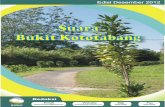 SUSUNAN REDAKSI · Kami sebagai redaksi Majalah Popular Suara Bukit Kototabang mengucapkan syukur ke hadirat Tuhan Yang Maha Esa atas berkat rahmat dan hidayah-Nya, majalah Suara