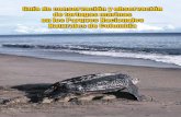 Guía de conservación y observación de tortugas …...mientras cumplen alguna actividad propia de su ciclo de vida (anidación, alimentación o migración). Si se topa con una tortuga