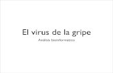 El virus de la gripemathgene.usc.es/.../herramientas_gripe.pdf · El virus de la gripe española (1918) comparado con el de la gripe aviar del 2006. El alineamiento con ClustalX.
