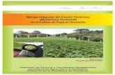 Manejo integrado Paratrioza - dicta.gob.hn-Manejo-integrado-del-insecto-Paratrioz… · Manejo integrado del insecto Paratrioza en el cultivo de papa en Honduras 6 Tubérculos de